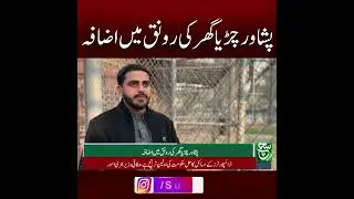 Peshawar Zoo&rsquo;s Splendor Increases | Major Upgrades and Attractions | Such News