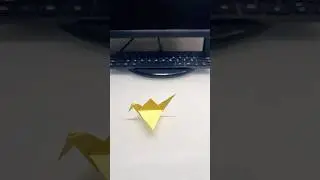 Stop Motion Origami