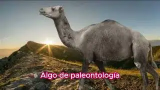 Camelops hesternus: El Camello del Pleistoceno Norteamericano y el Enigma de una Fauna Perdida