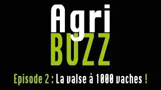 Agribuzz n&deg;2 (8/01/2013) Le DEBUZZ : La Valse &agrave; 1000 vaches !