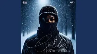 Cold (feat. dndSection)