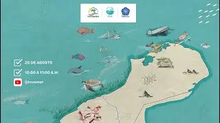 Lanzamiento: Herramientas Educativas PROYECTO PALAA