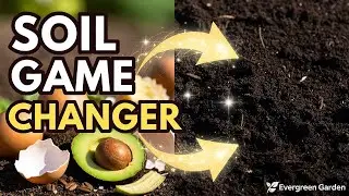 The No-Fire Biochar Method Serious Gardeners Are Switching To