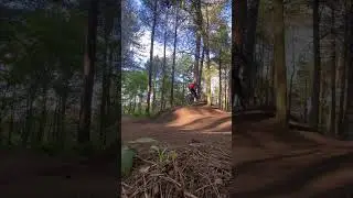 Errington woods jump