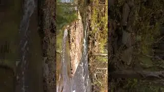Ariel Rider X-class 52v on Washington secondary  bike path & trails Rhode Island part 2