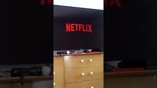 Netflix startup
