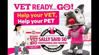 Help your VET help your PET with Ready Vet GO!