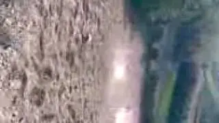 gara simo cesa edo