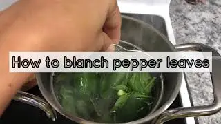 How to blanch pepper leaves| Filipino cuisine| Buhay America | Winter Food Prep