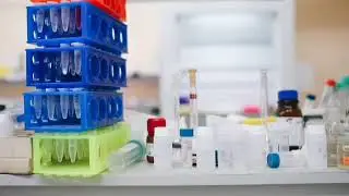 Liver function test in hindi 