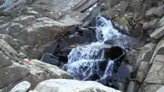 Hiking on the Potomac Heritage Trail