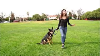 Video Tour with Realtor Mei Ling - 2238 Schott Court, Santa Clara 95054