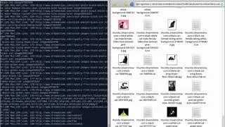 Onewebmicrodata- A web scraper that downloads images with microdata