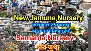 Best Roadside Nursery in Kolkata | মাত্র ৫ টাকা থেকে শুরু | Best Indoor Outdoor Plants |🏕🥭🌻🌹
