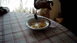 assassin spoon