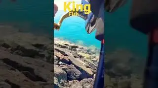 #fishing #boatfishing #shorts #gopro10 #gopro #jigging #uae #kingfish#abudhabi #viral #