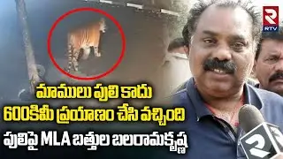 దయచేసి ఒంటరిగా వెళ్ళకండి | MLA Bathula Balaramakrishna On Tiger | Tiger Hulchul | Rajanagaram | RTV