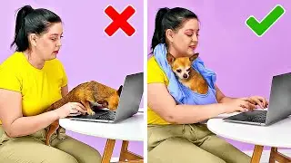 Trucchi Geniali e Idee per Padroni di Cani