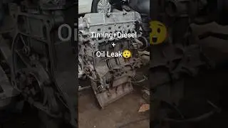 Oil + Diesel + Timing problem solved.Engine oil leak fix, diesel leak fix, workshop shots.