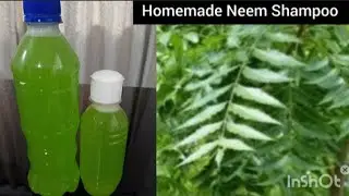 Homemade Neem Shampoo |How To Make Neem Shampoo At Home | Removes Dandruff  & Hair fall #neemshampoo