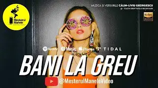 BANI LA GREU | MEȘTERUL MANELE - NUMĂRUL UNU &Icirc;N REVOLUȚIA MUZICALĂ DIN ROM&Acirc;NIA