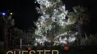 The Lanterns at Chester Zoo 2023 23/11/2023