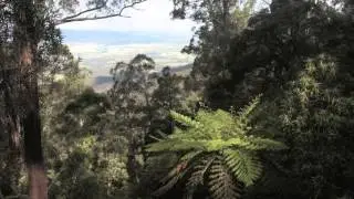 SUR MON ILE - AN-LIZ  - AUSTRALIAN DREAM