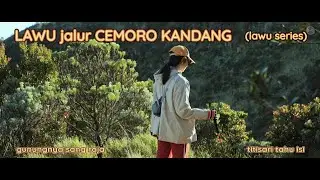 Lawu Jalur Cemoro Kandang (Lawu Series): Gunungnya Sang Raja