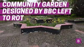 Small Heath garden designed by TV star Charlie Dimmock left to 'rot' amid 'neglect' claim
