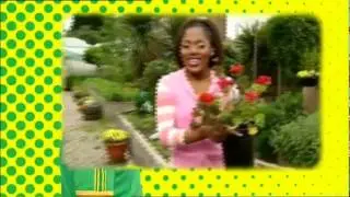 Boogie Beebies - English - Full Episodes - Gardening