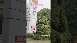 #bangalore #heavyrain #today | #rainfall in #bangalore  #weekend is #here #friday 😁| #rainnyday 🌧️