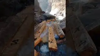 wood transportation through river #ytshorts #short