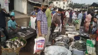 Amazing Fresh Morning Fish Market Badda || Dhaka in Bangladesh