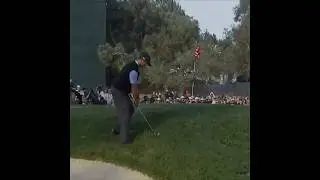 Tiger Woods Epic Chip In #golf #golfer #tigerwoods #golfing #golfswing