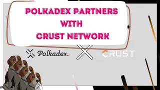 Polkadex partners with Crust Network | РАЗБИРАЕМ.