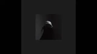 [ R A T ]