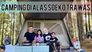 Camping dengan konsep Camper Van di Alas Soeko Trawas Mojokerto | Naturehike Village 6