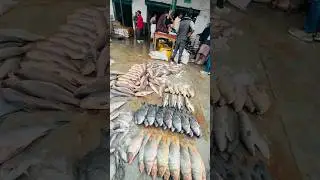 #foryou #travel #flowers #lahore #food #viral #groothandel #plz_subscribe_my_channel #trending