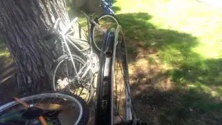 Rolf Tubeless Wheel