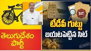 TTD Ghee Adulteration SIT Report Exposes Irregularities During TDP Regime || AP PRIDE