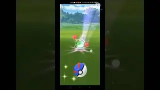 Pokemon go Marill event  Shiny encounter How much did you get??? !