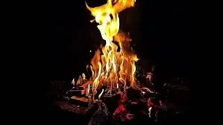 RELAX ASMR FIRE BBQ #relaxing #usa #asmr #asmrsounds 