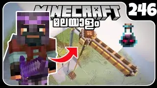 LP246: NEW STORAGE FOR MY OMINOUS BOTTLE FARM!