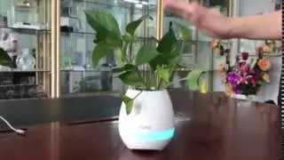 3 in 1 Smart Flowerpot + Bluetooth Speaker + Colorful Light