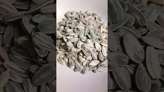 Salty roasted sunflower seeds #sunflowerseeds #satisfyingsounds #snacks