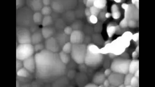 Ceramic sintering at 1200&deg;C using in situ ESEM microscopy