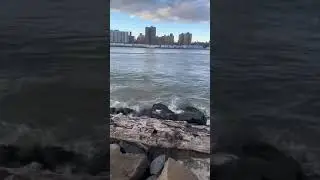 Hudson river nyc