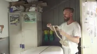 One pair of Hands