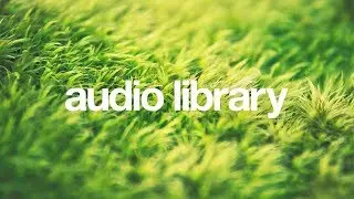 Birds &ndash; Scandinavianz (No Copyright Music)