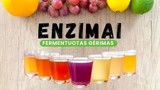 Enzimai. Fermentuotas Probiotinis Gėrimas.